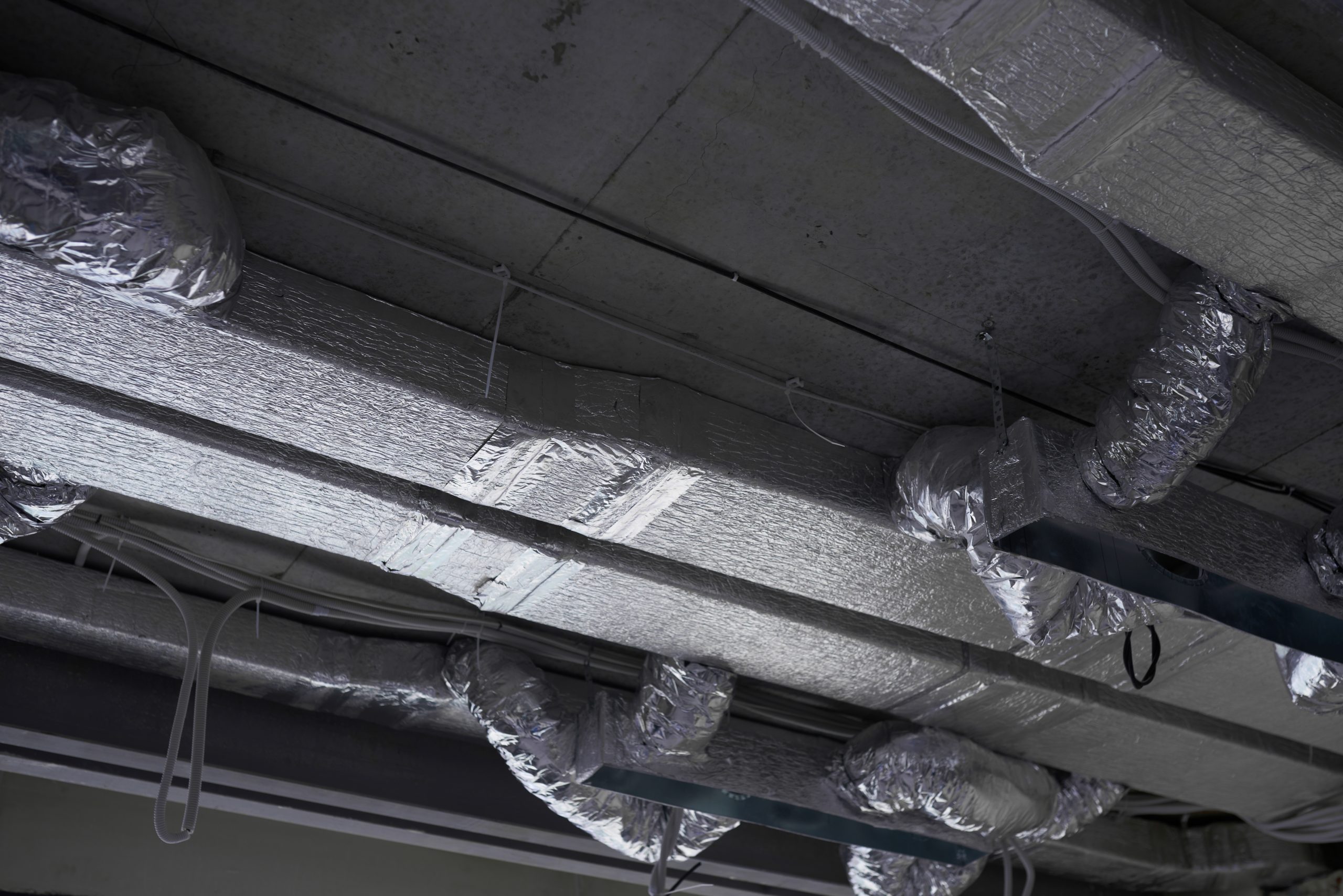 A Guide To Sub-floor Ventilation - Newcastle Pest Exterminators